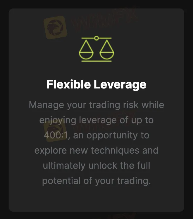 Leverage