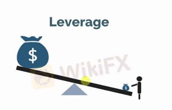 Leverage Leverage