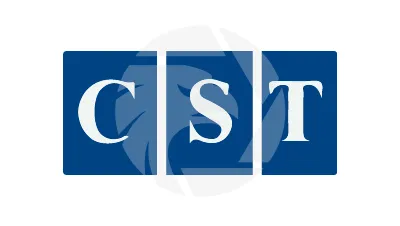 CST का अवलोकन CST का अवलोकन
