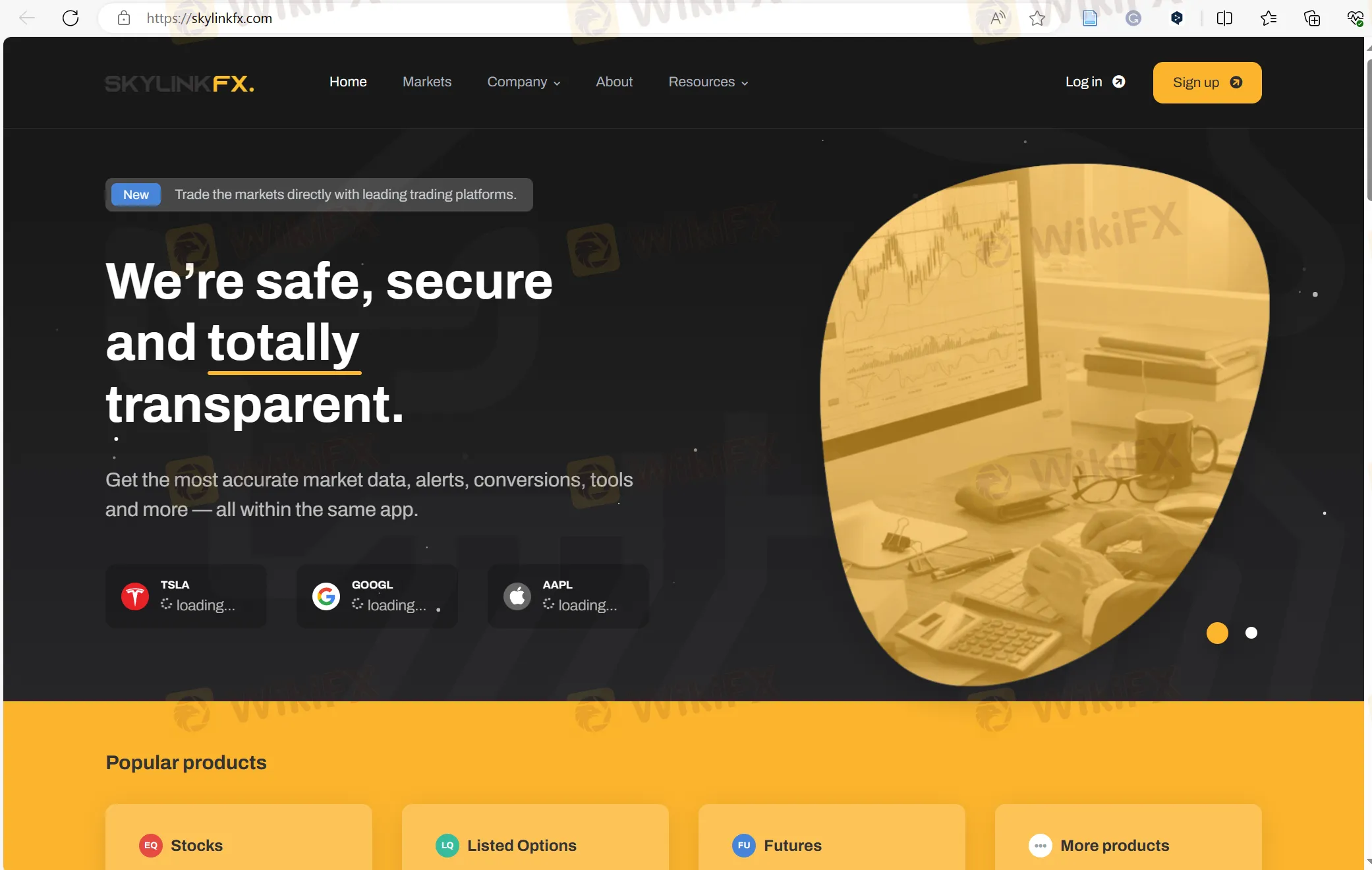 Skylinkfx's homepage