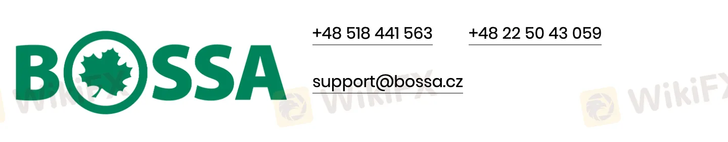 Support client