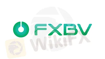 Resumen de FXBV