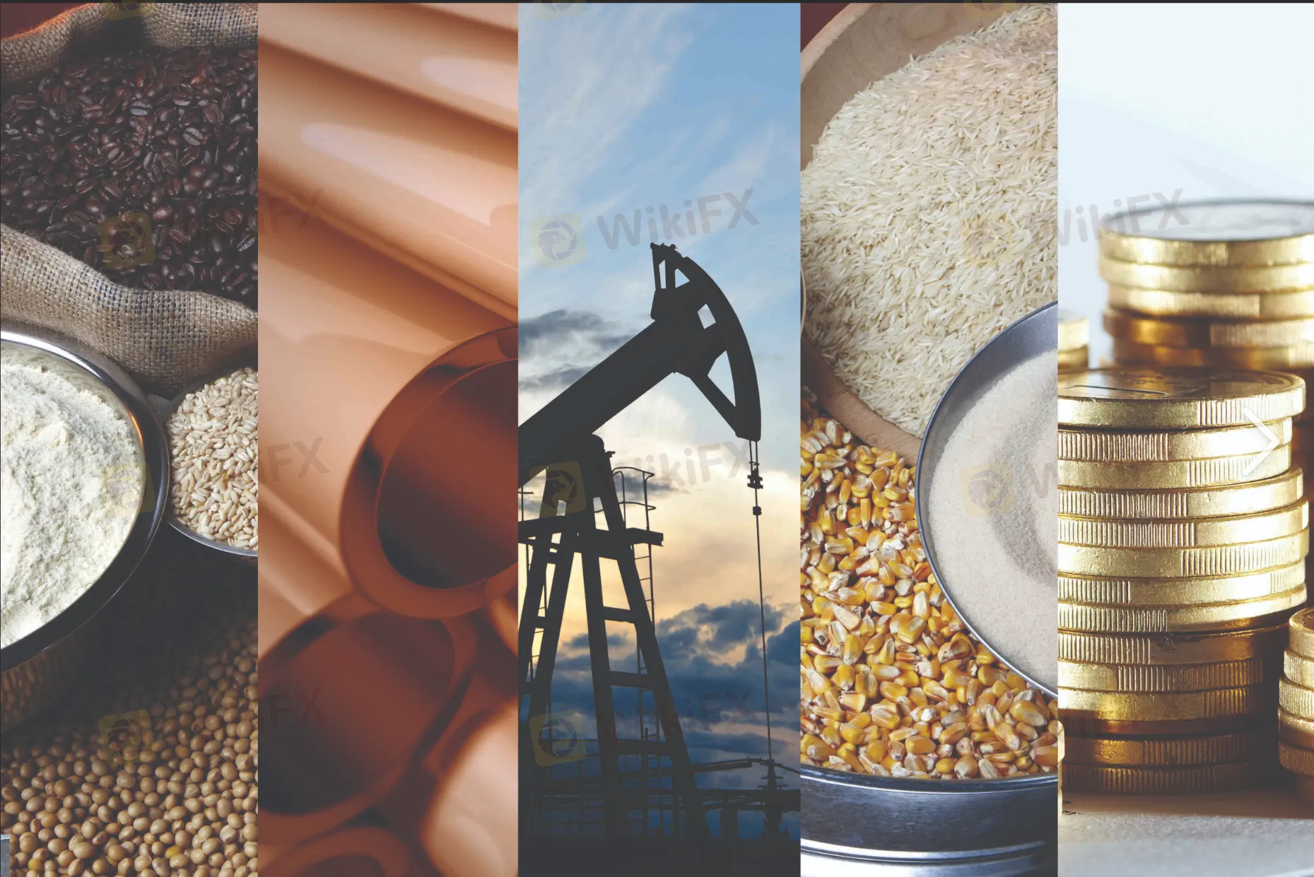 Sản phẩm Sản phẩm