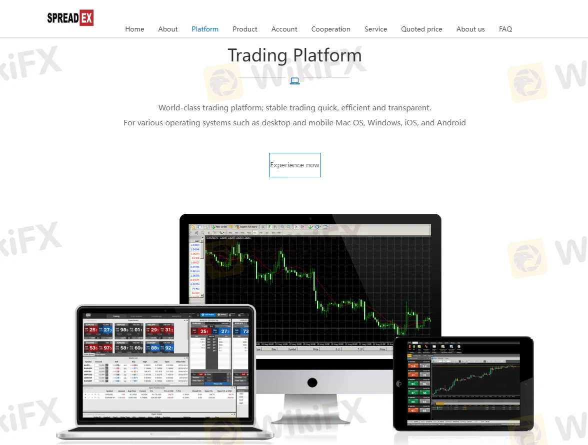 Plateforme de trading Plateforme de trading