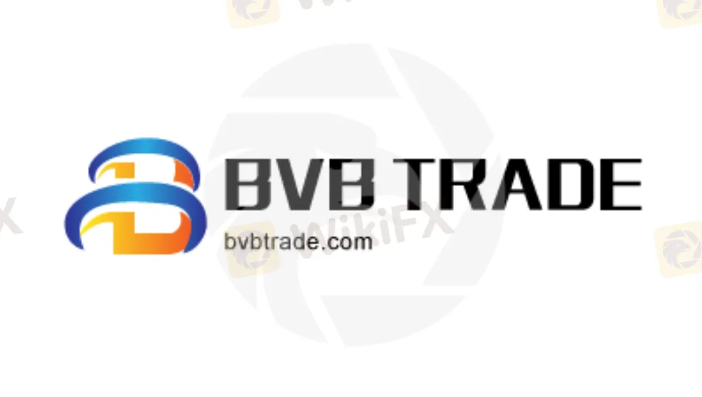 Overview of BVB TRADE Overview of BVB TRADE