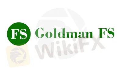 Overview of Goldman FS