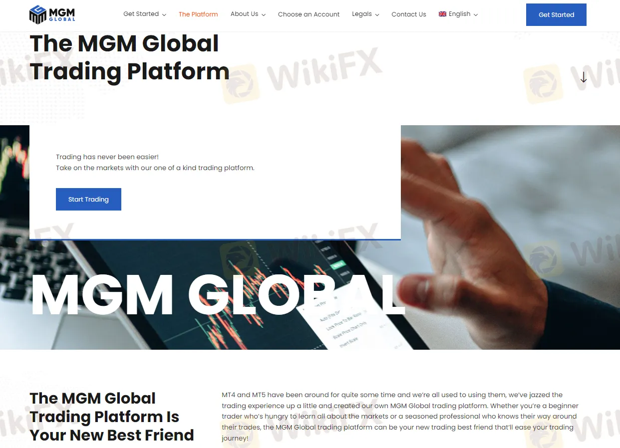 platform MGM Global platform MGM Global