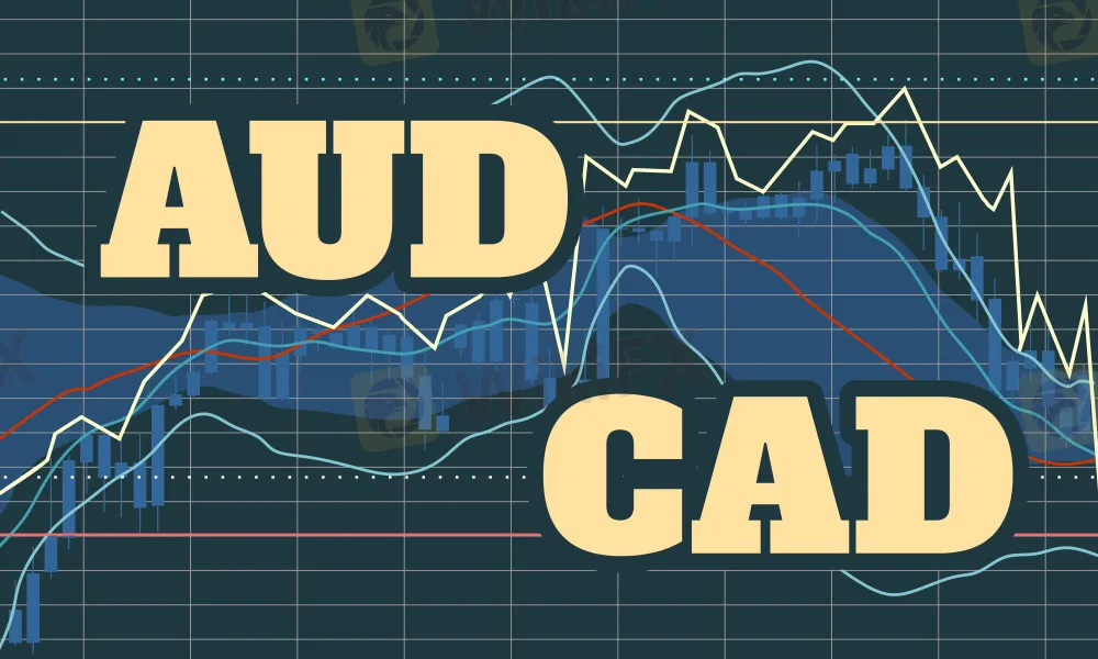 Marktinstrumente Marktinstrumente