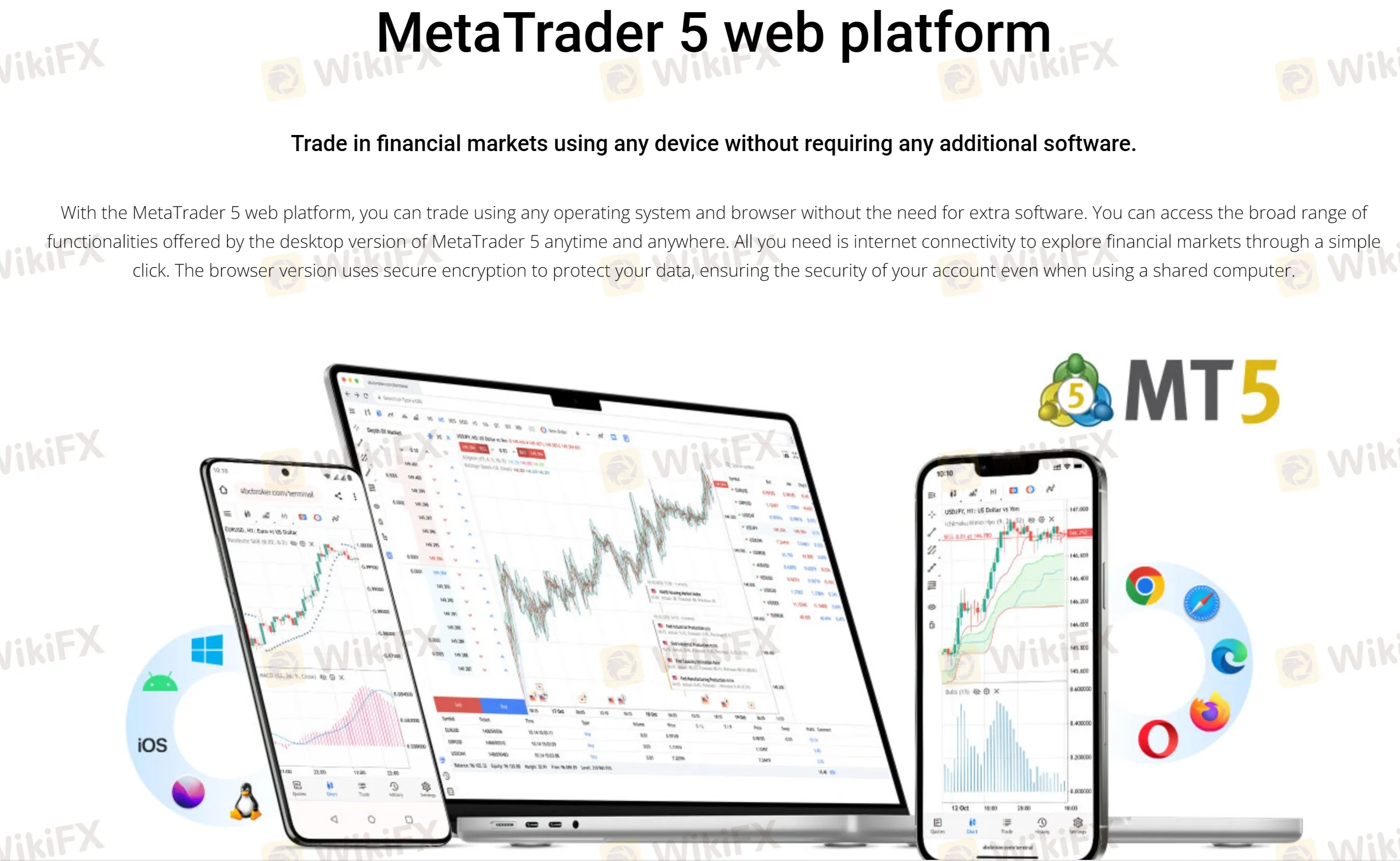MT5 web MT5 web