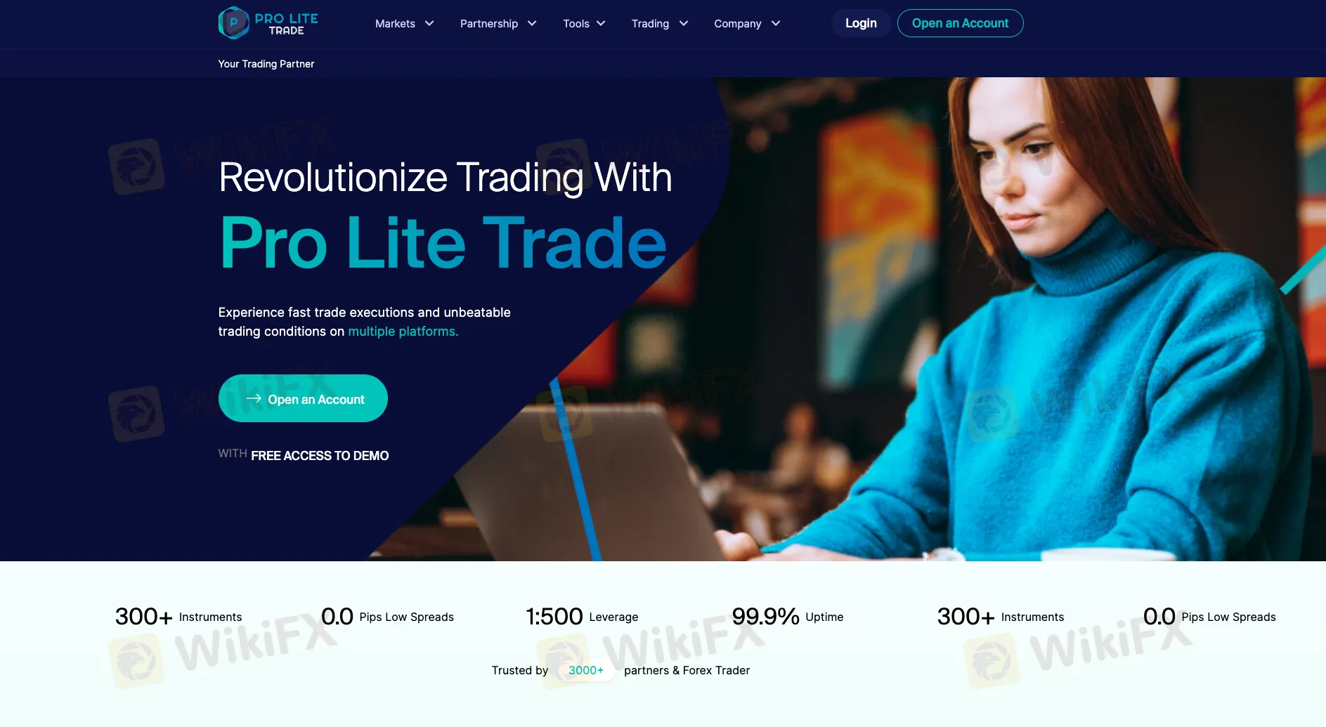 Overview of Prolite Trades Overview of Prolite Trades