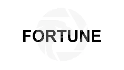 Overview of FORTUNE Overview of FORTUNE