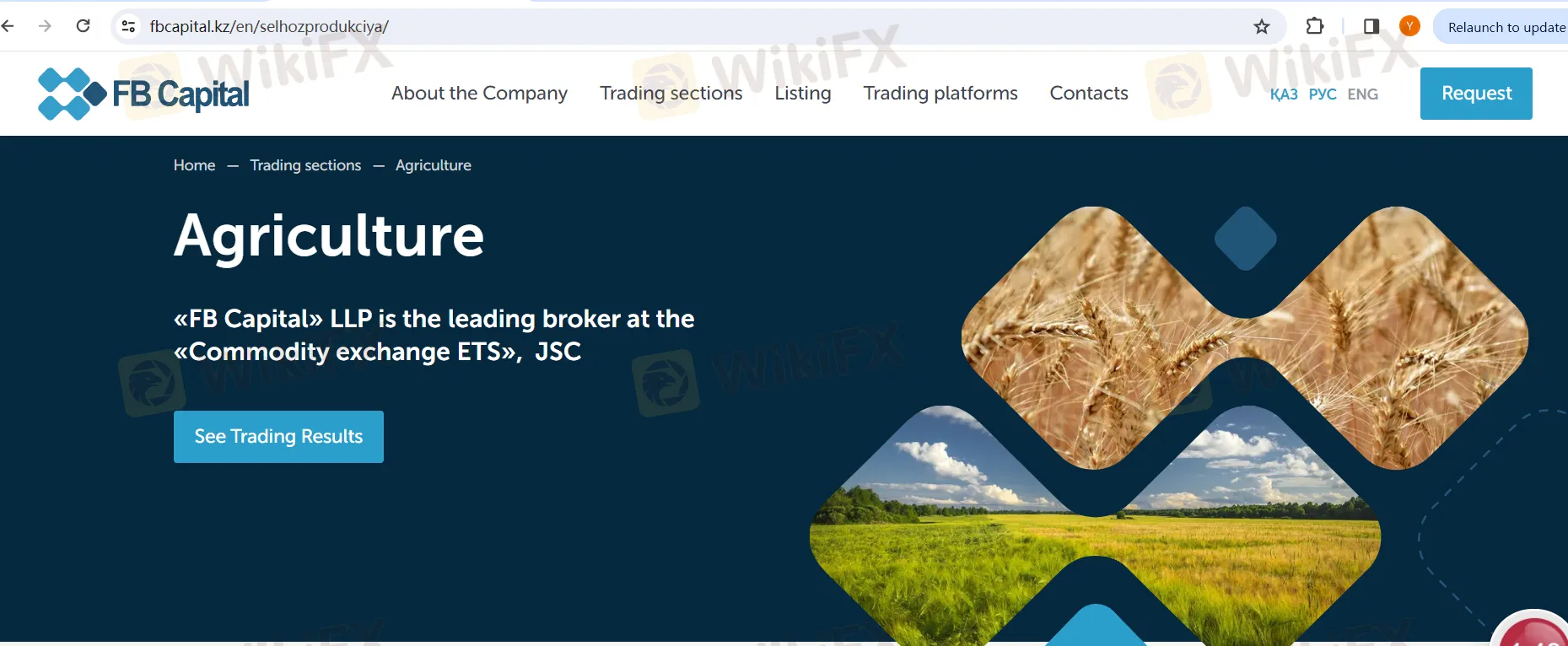 市場のインストゥルメント