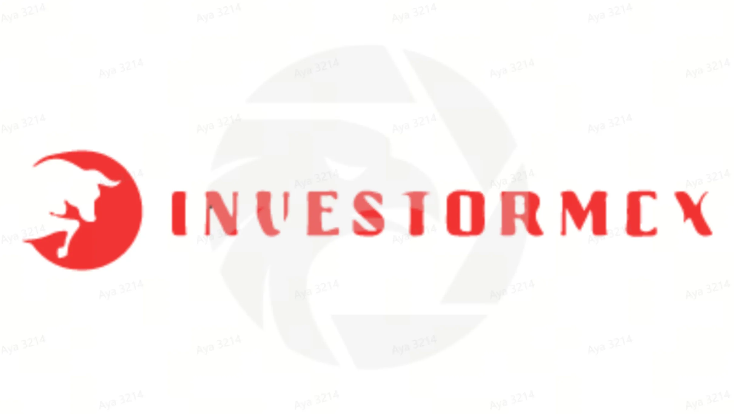Übersicht von InvestorMex Übersicht von InvestorMex