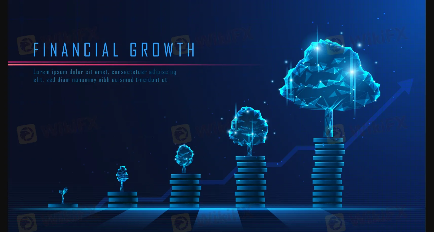 How to Open an Account?