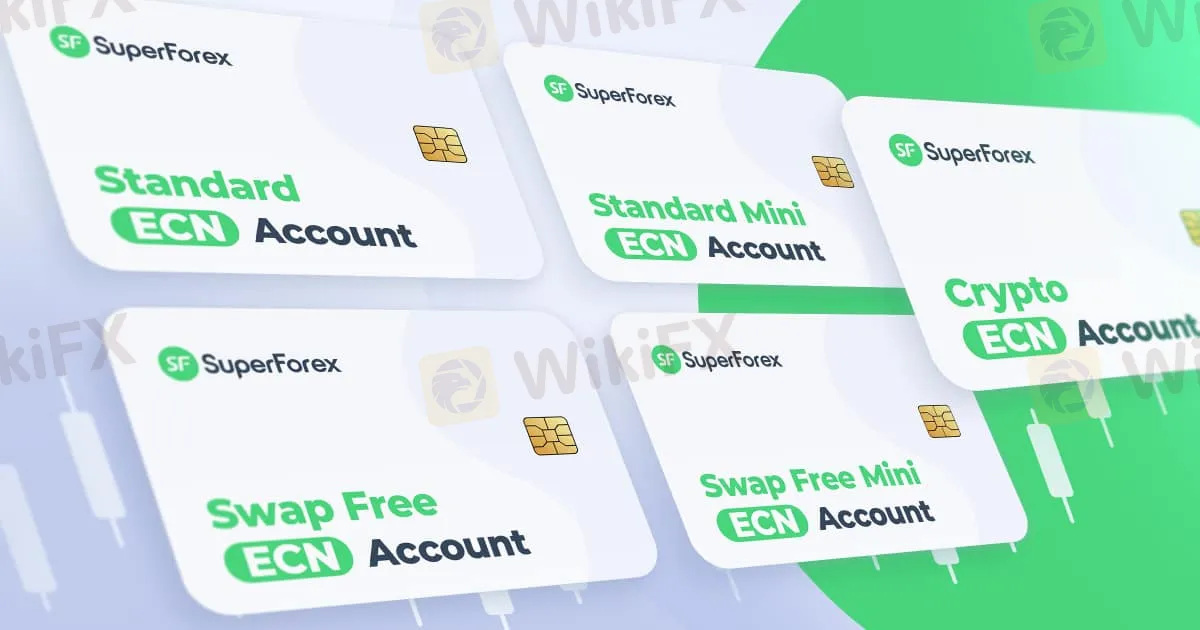 アカウントタイプ アカウントタイプ