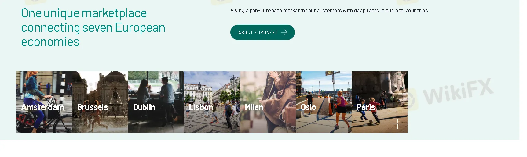 Products & Services Products & Services