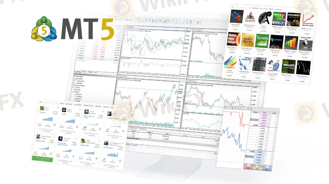 MT5 MT5