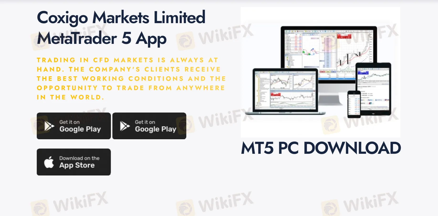 MT5