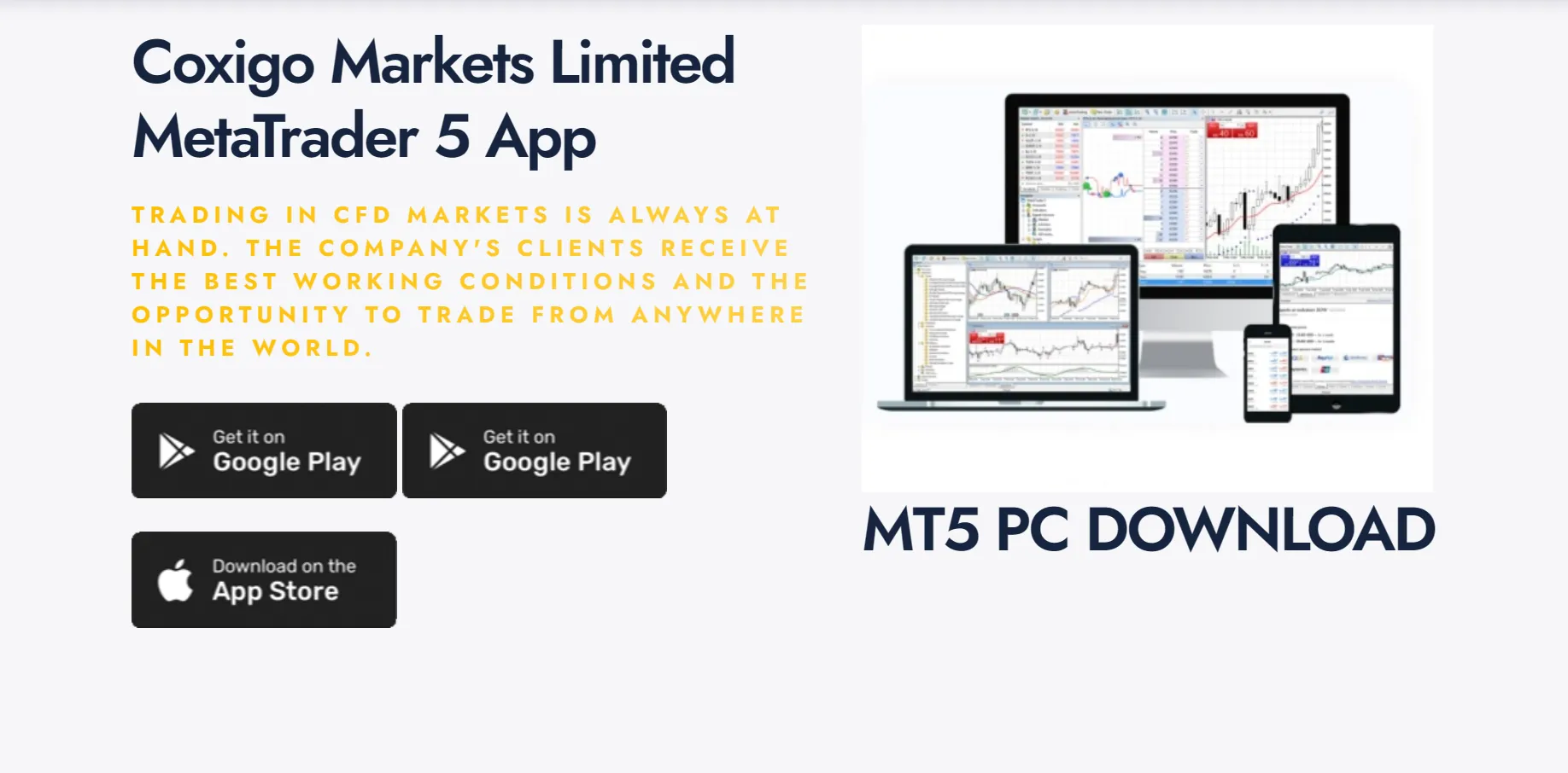 MT5