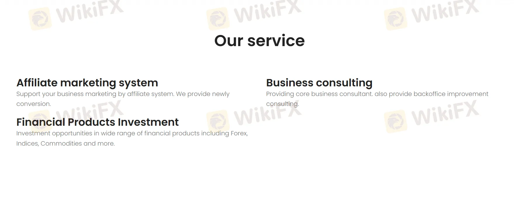 Services of BIG Solutions Company Limited Services of BIG Solutions Company Limited