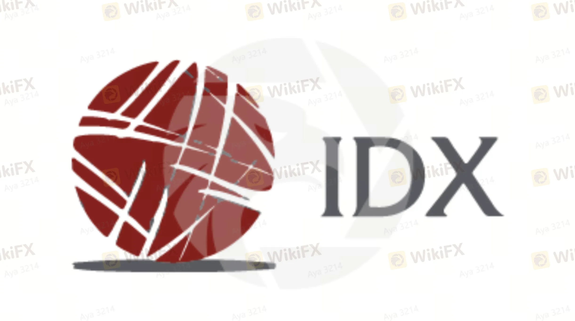 Resumen de IDX Trader Resumen de IDX Trader