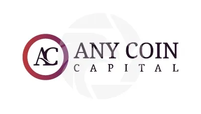 Any Coin Capital