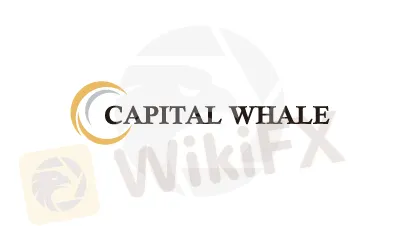 Capital Whale