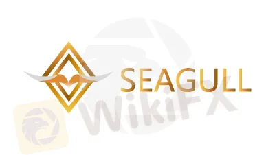 SEAGULL