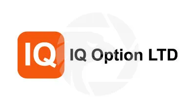 Overview of IQ Option LTD