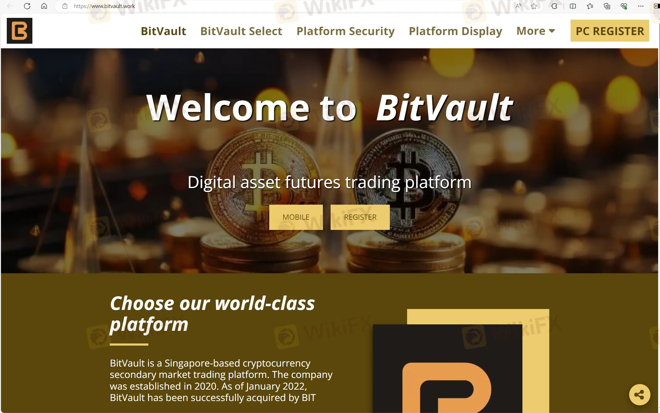 BitVault's homepage