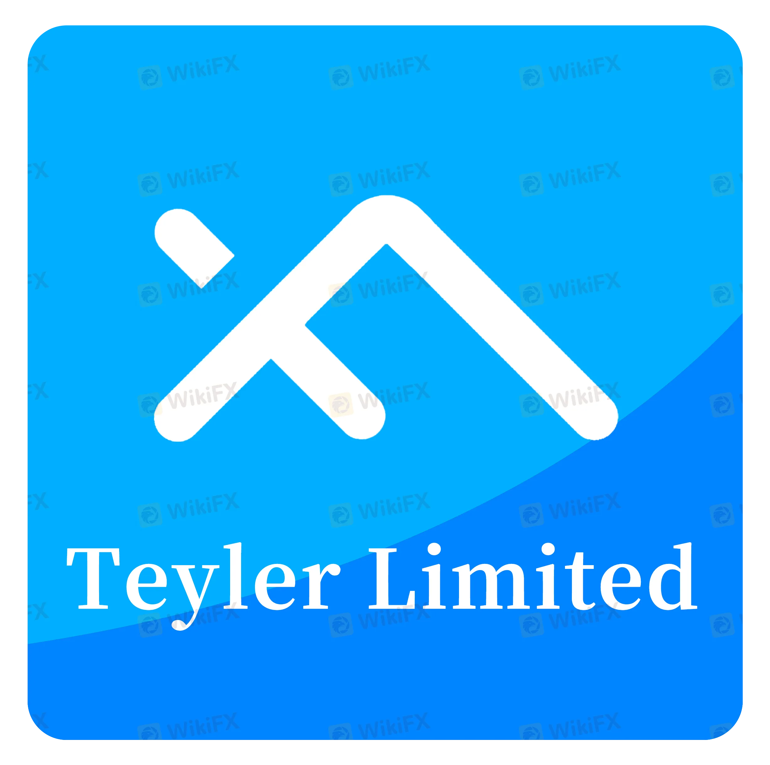Teylerの概要 Teylerの概要