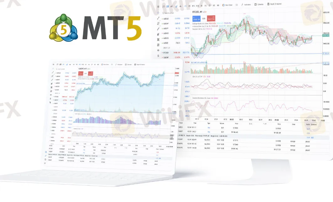 MT5 MT5