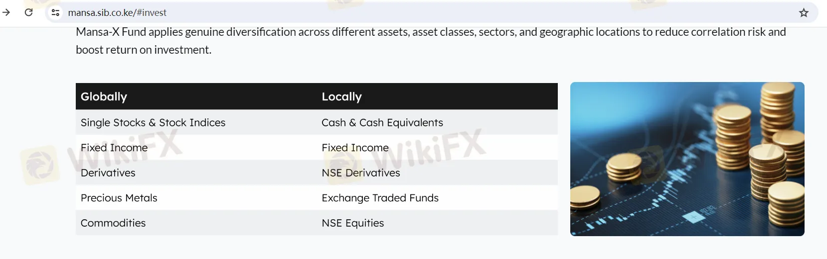 Investment Strategy Investment Strategy