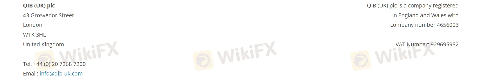 연락처 세부정보