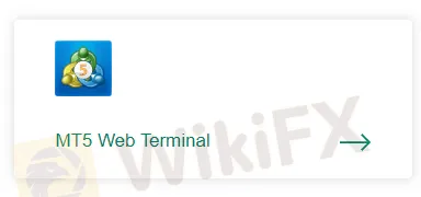 منصة التداول منصة التداول