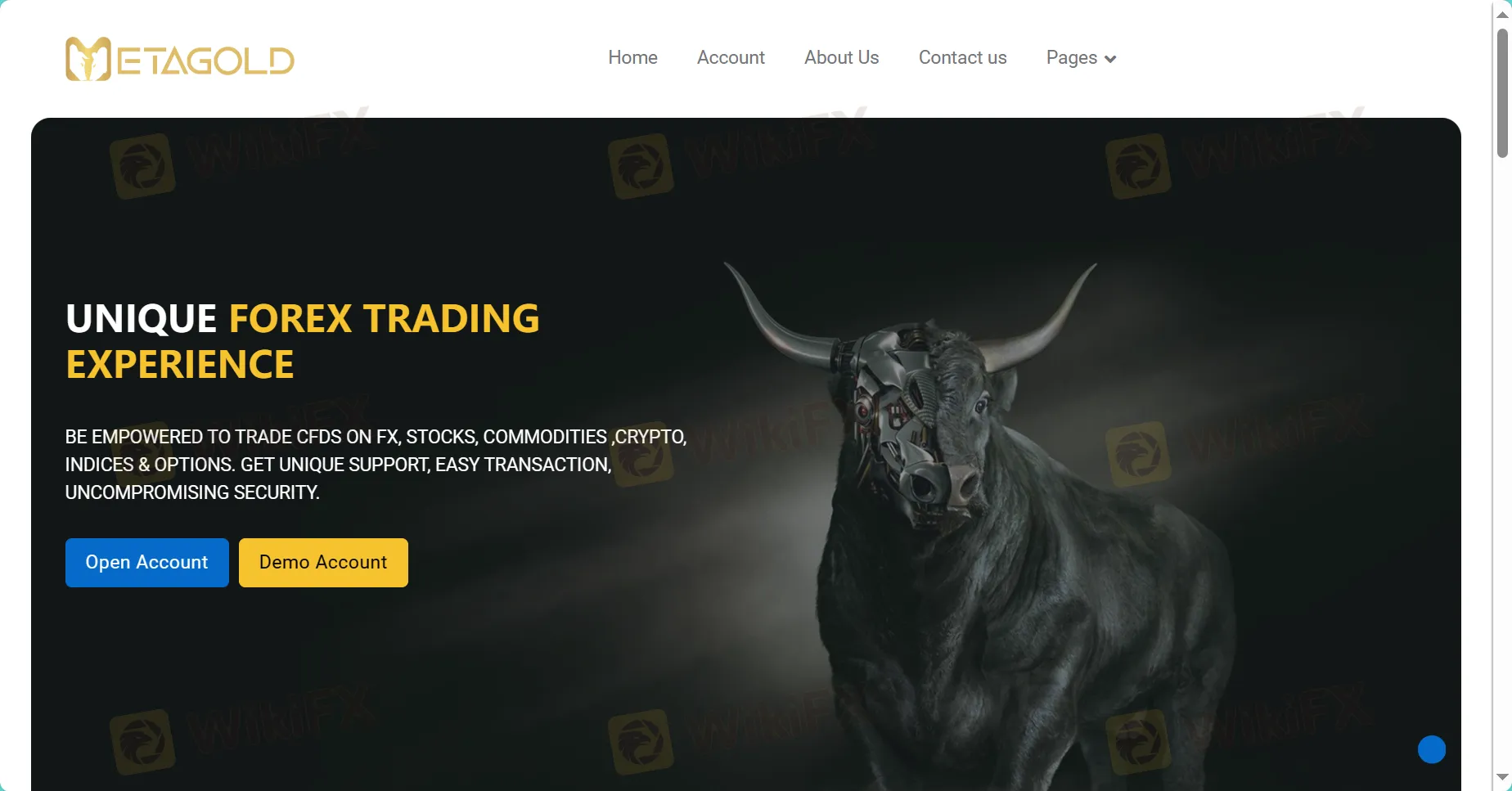 META GOLD's homepage