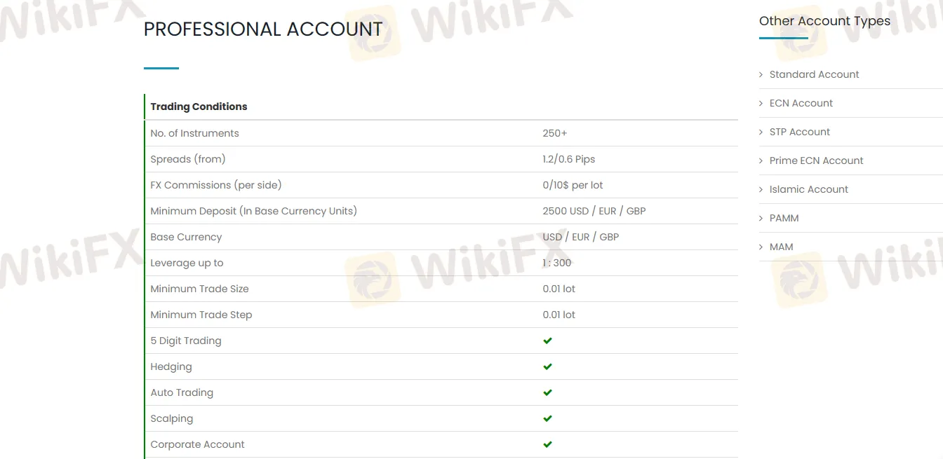 Professional Account Professional Account