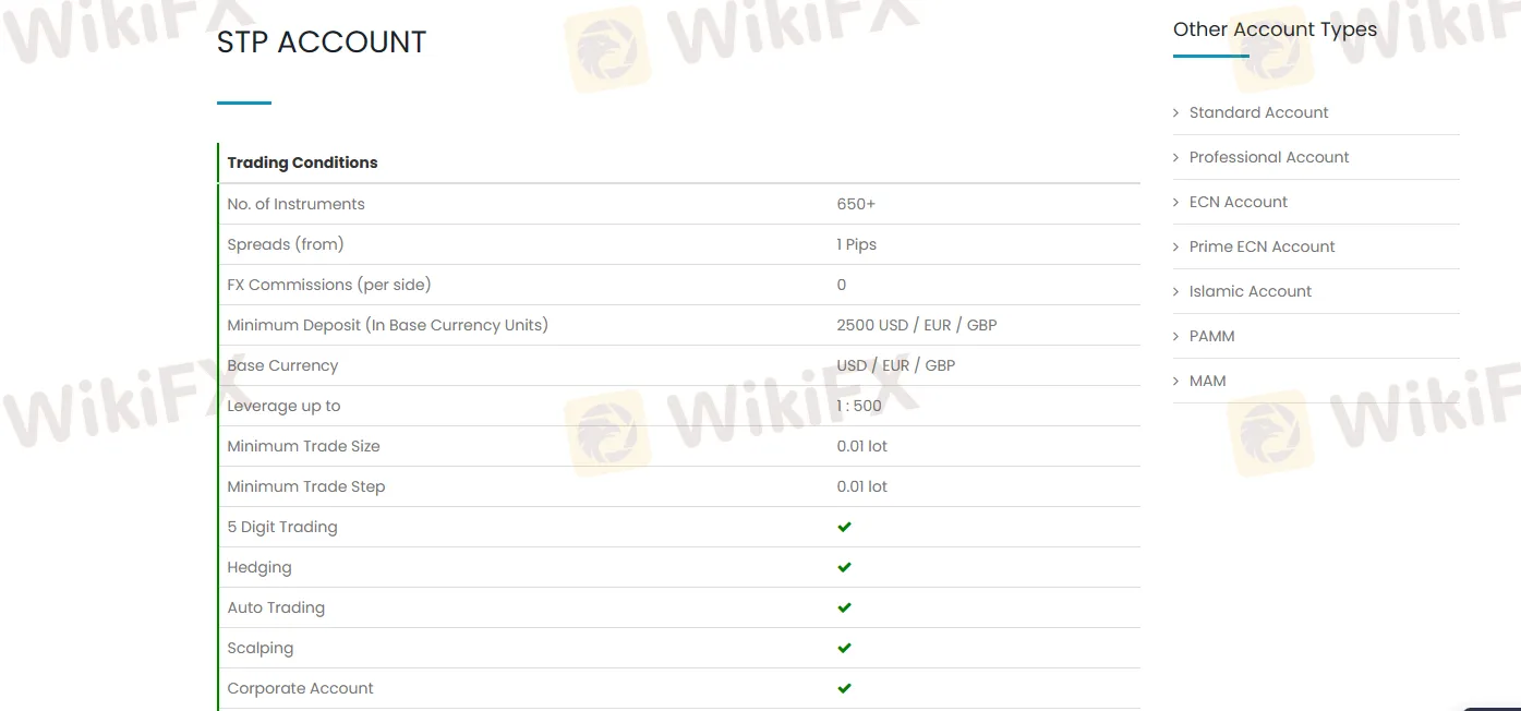 STP Account STP Account