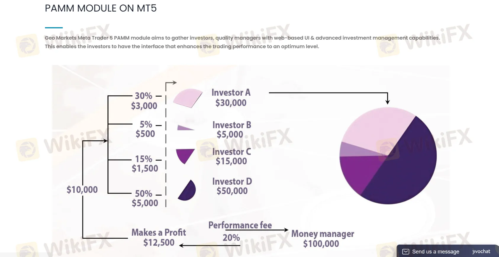 PAMM (Percentage Allocation Management Module) PAMM (Percentage Allocation Management Module)