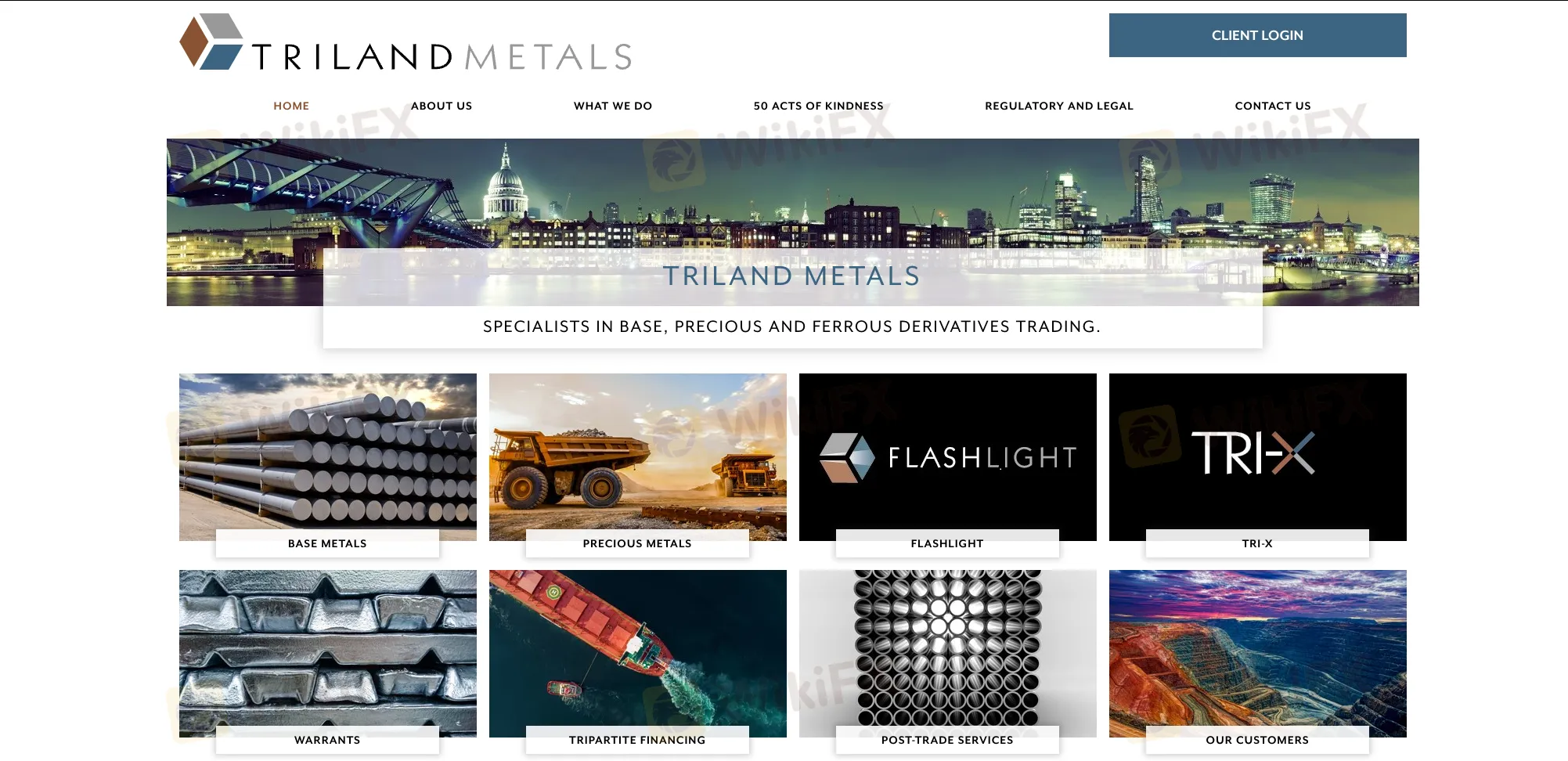 Triland Metalsの概要