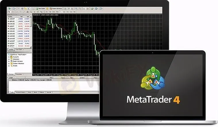 MT4