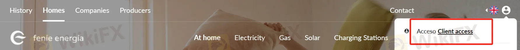 点击“客户访问”按钮 点击“客户访问”按钮