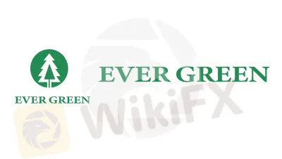 EVERGREEN 概述?