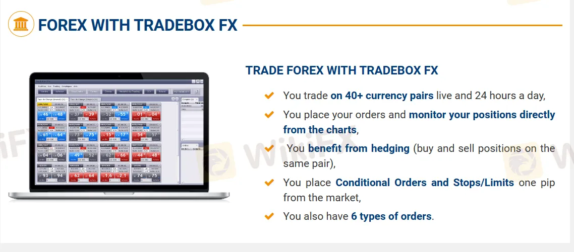 Forex Forex