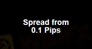 点差和Commissions