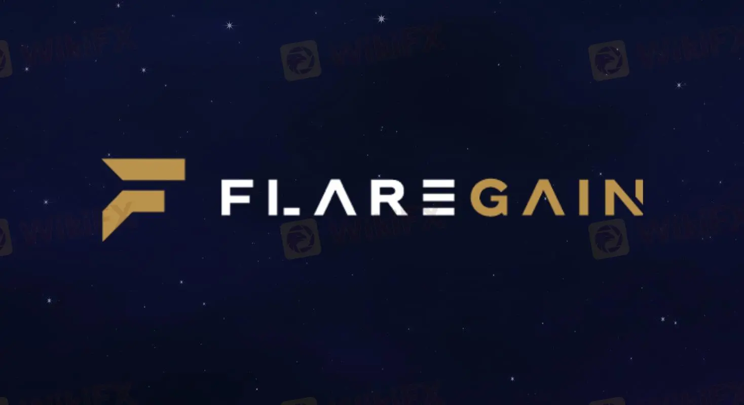FLAREGAINの概要 FLAREGAINの概要