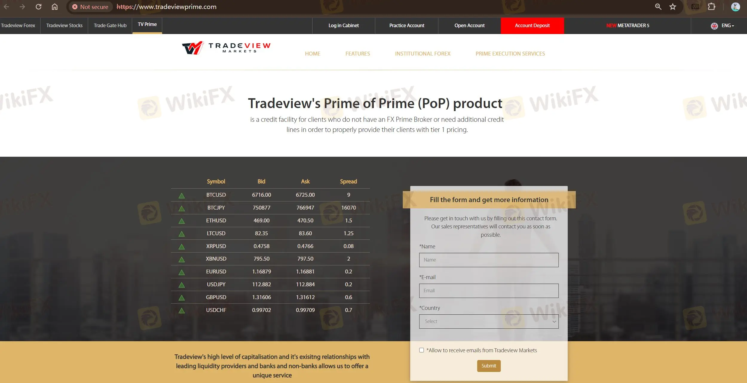 Tradeviews homepage