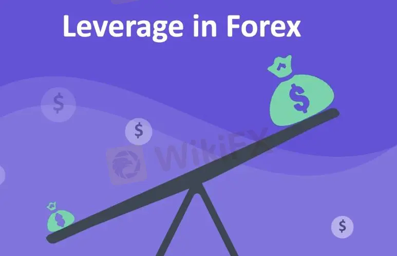 Leverage