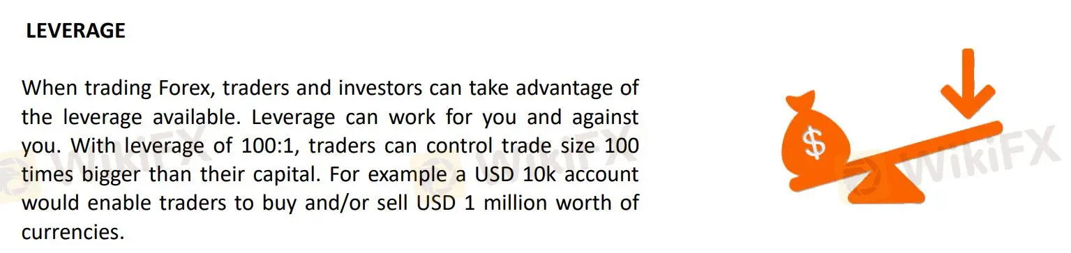 Leverage
