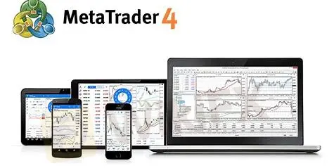 MT4
